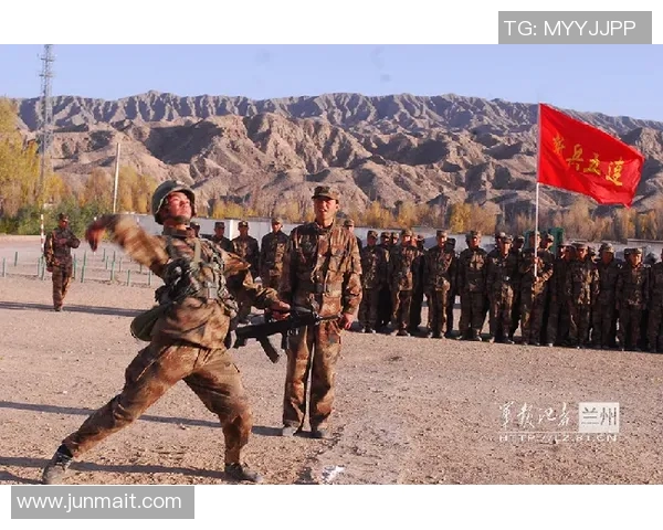 新西兰与中华台北激战在即谁将赢得这场精彩对决